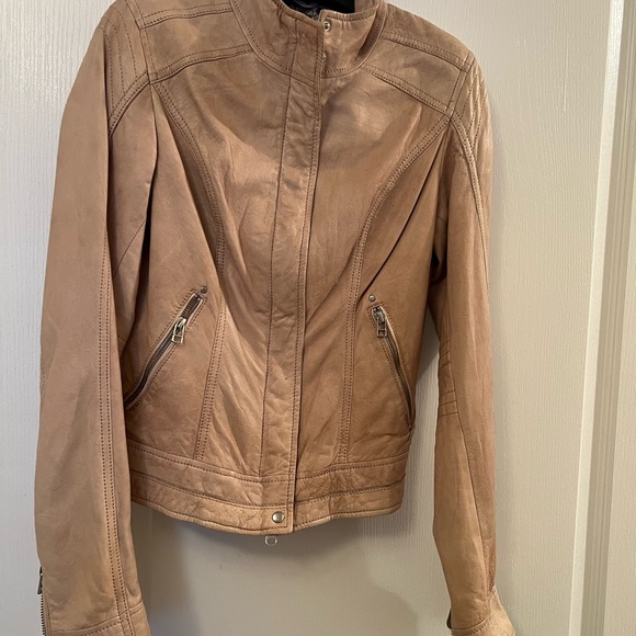 Leather Bomber Jacket - Picture 5 of 9